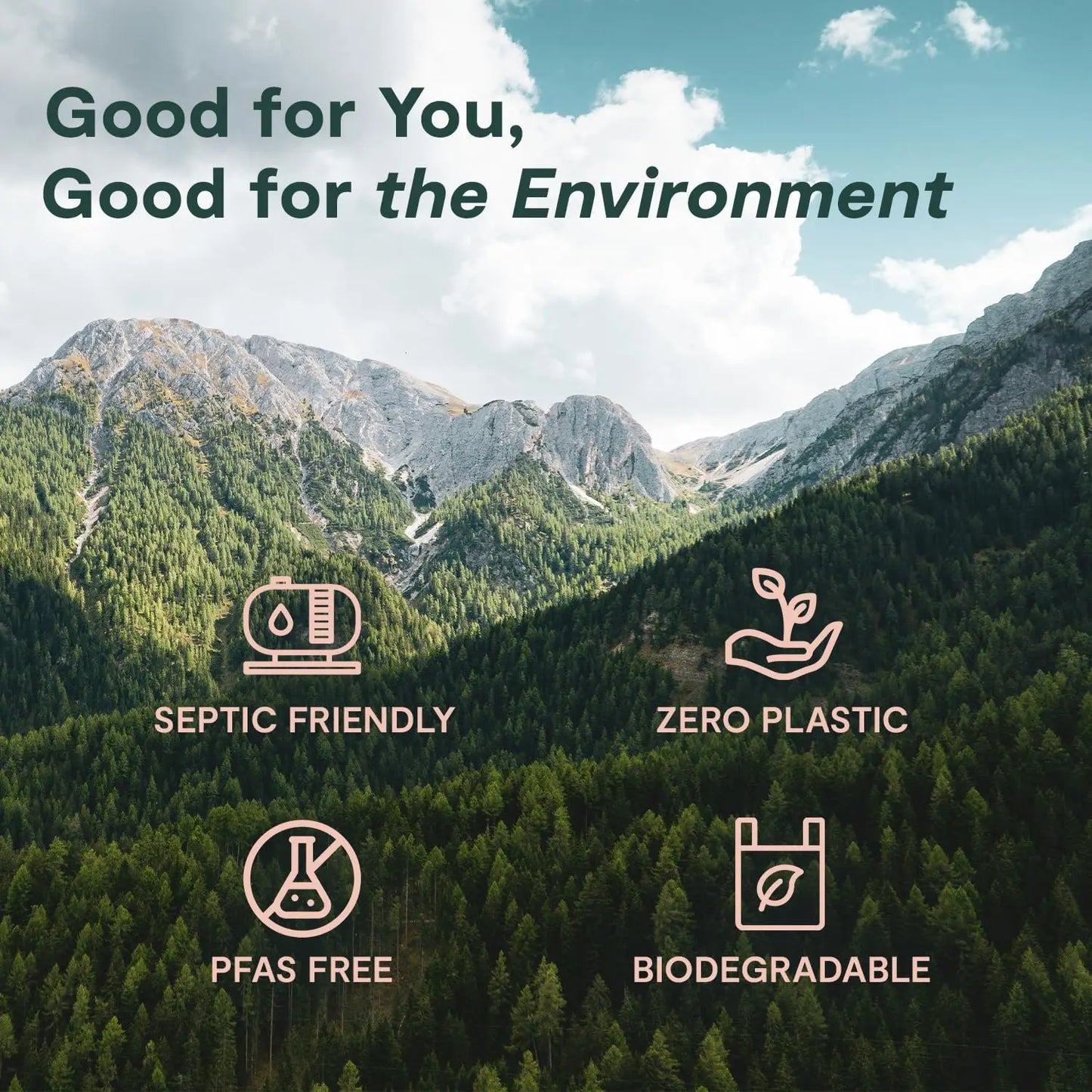 bamboo toilet paper / 12 mega rolls